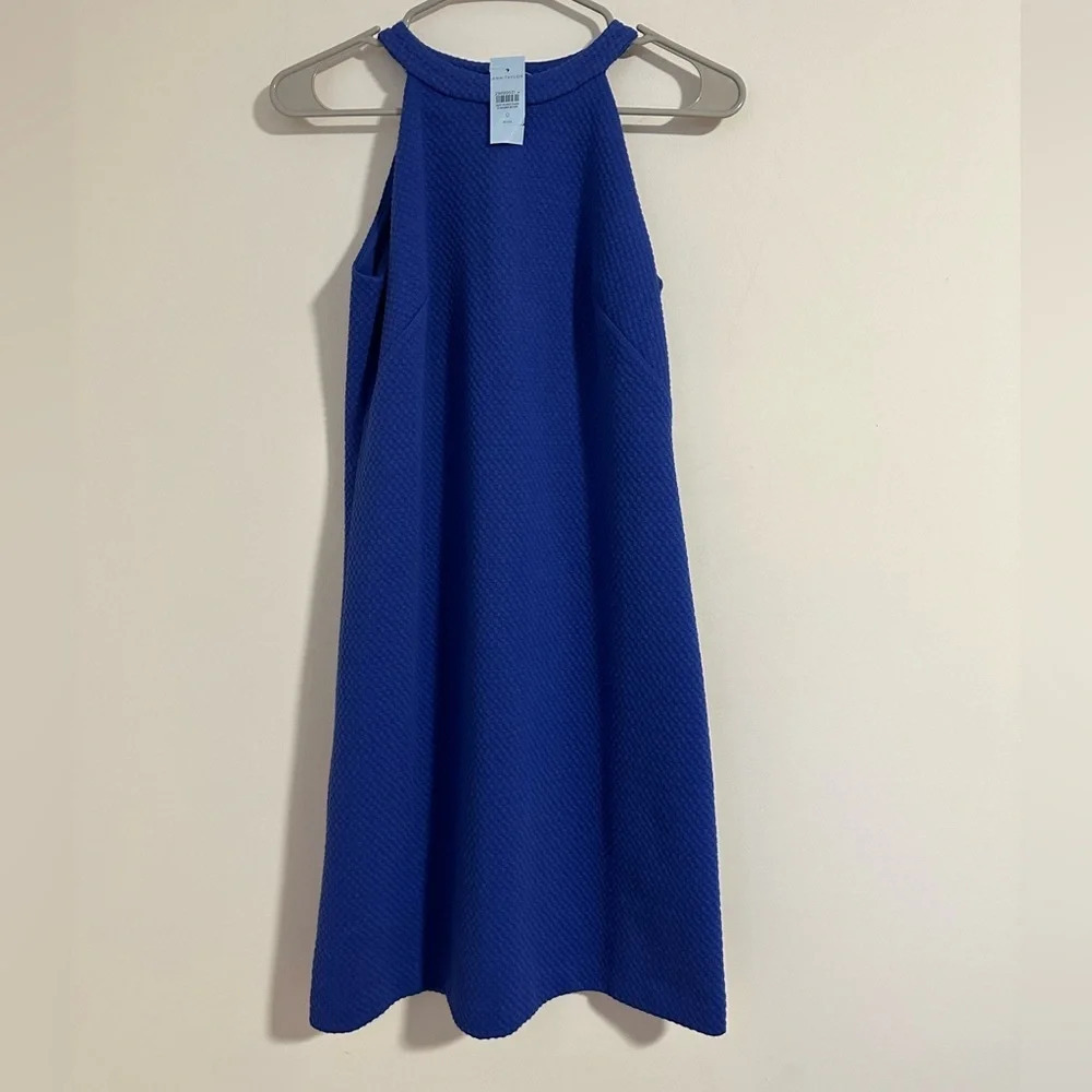 nwt Ann Taylor petite royal blue textured mini dress
